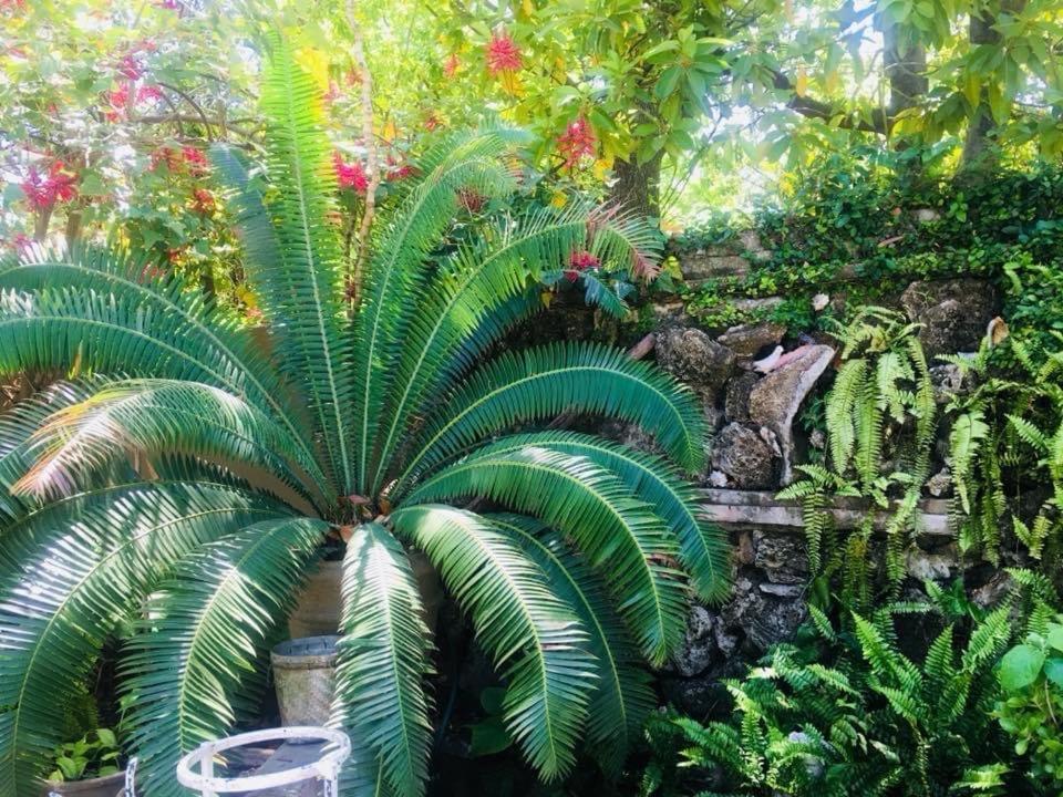 La Casita Inn Bustamante Exterior photo